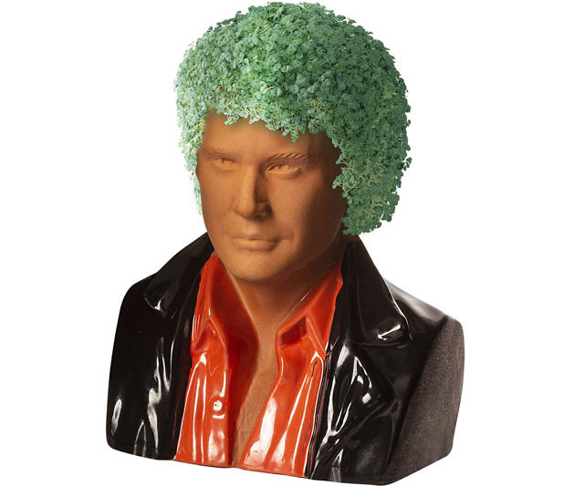 David Hasselhoff Chia Pet