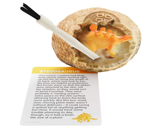 Dinosaur Eggs Dig Kit