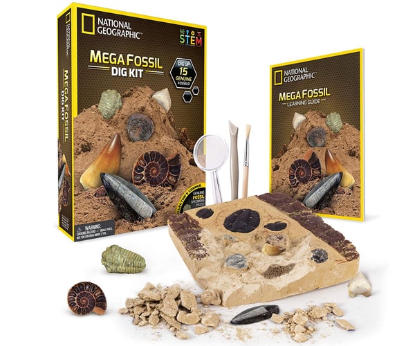 Dinosaur Fossil Dig Kit