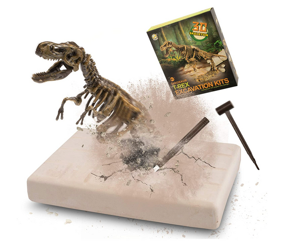 Dinosaur Skeleton Excavation Kit