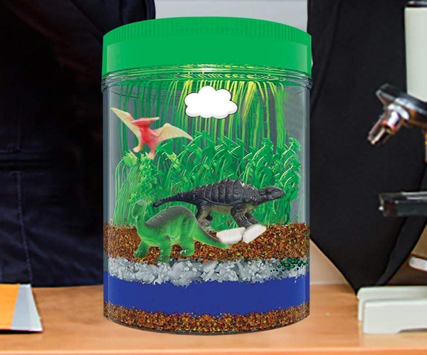 Dinosaur Terrarium Kit