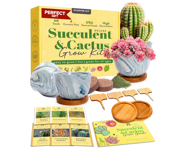 DIY Succulent and Cactus Garden Kit