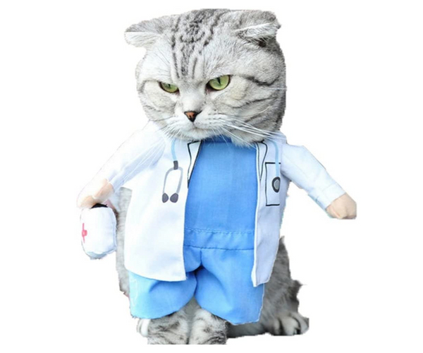 Doctor Cat Costume