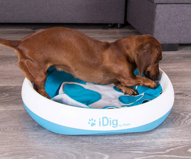 Dog Digging Toy