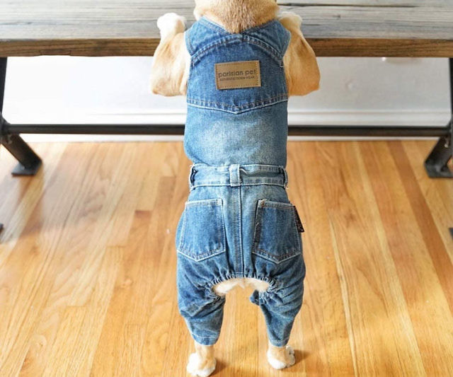 Dog Overalls