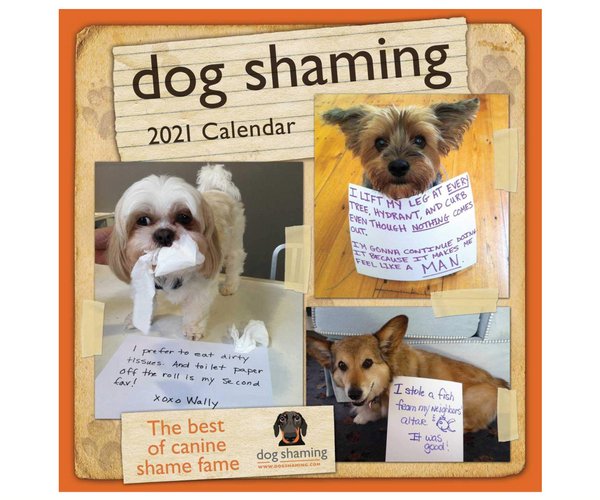 Dog Shaming Calendar