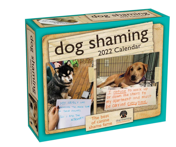 Dog Shaming Day-to-Day Calendar