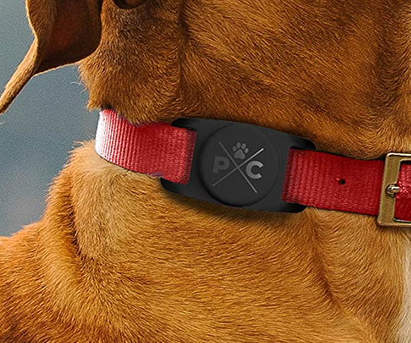 Doggie Collar Air Tag Holder