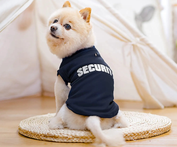 Doggy Bouncer Costume