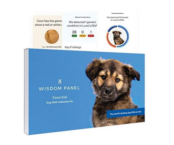 Doggy DNA Kit