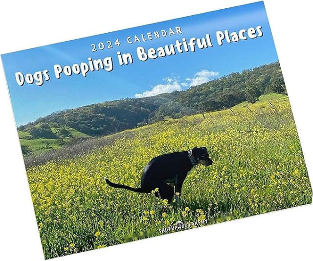 Dogs Pooping In Beautiful Places Calendar