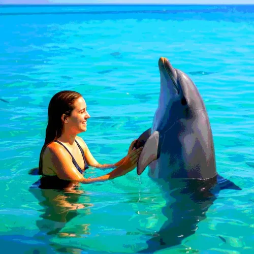 23 Amazing Dolphin Gifts For Anyone Who Just Really Loves Dolphins