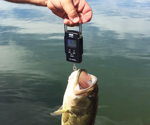 Dr.Meter Portable Fish Weight Scale