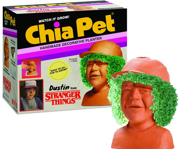 Dustin from Stranger Things Chia Pet