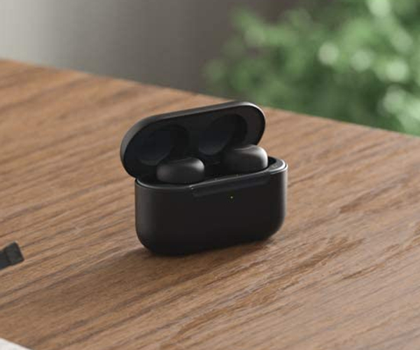 Echo Ear Buds