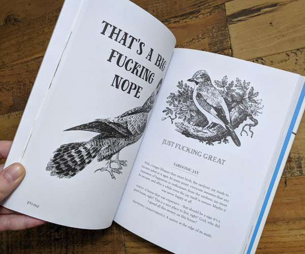 Effin' Birds: A Field Guide to Identification