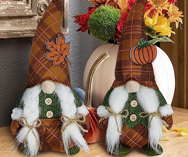Fall Gnomes