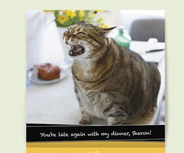 Fat Cats Wall Calendar
