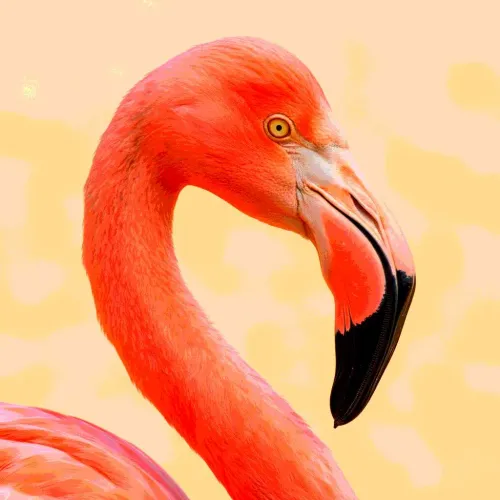 33 Fabulous Flamingo Gifts That Are Unmistakably Pretty In Pink