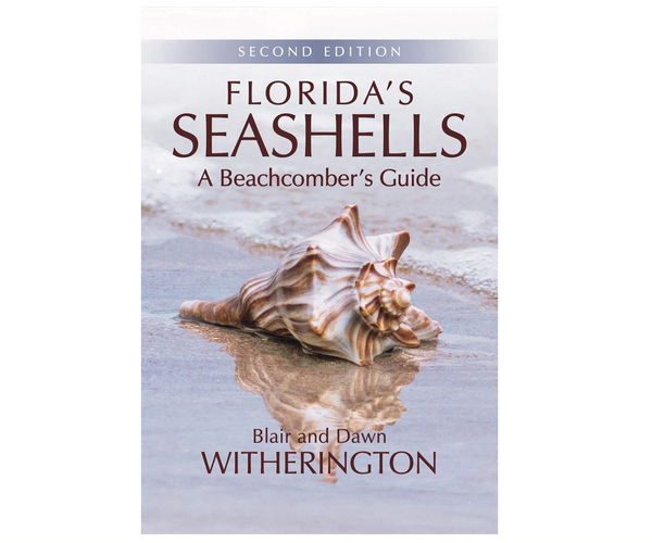 Florida's Seashells, A Beachcomber's Guide