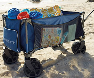 Foldable Beach Wagon