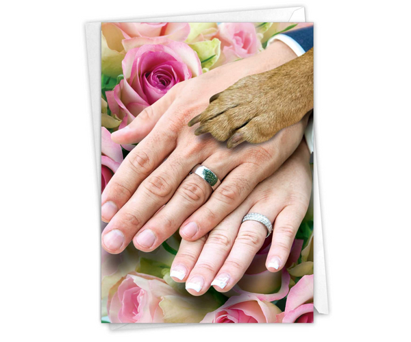 Four Paws Third Wheel Funny Card