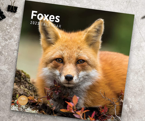 Fox Wall Calendar