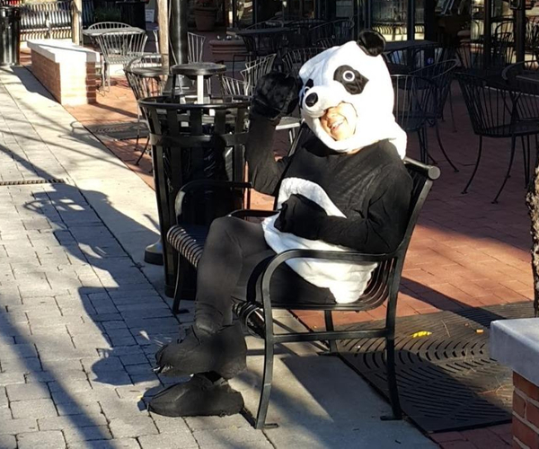 Full Body Panda Costume