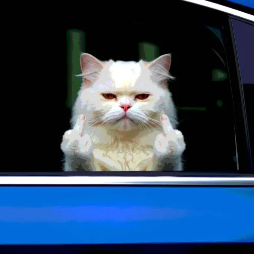 23 Extremely Funny Bumper Stickers That Will Make You Run Off The Road Laughing