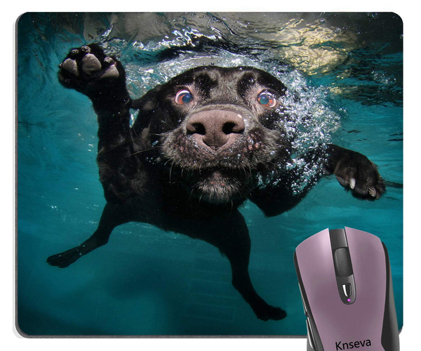 Funny Dog Face Mouse Pad