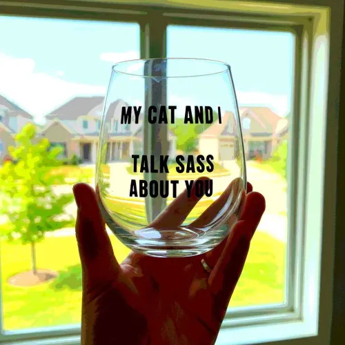 33 Ridiculously Funny Wine Glasses That'll Get You Drunk With Laughter