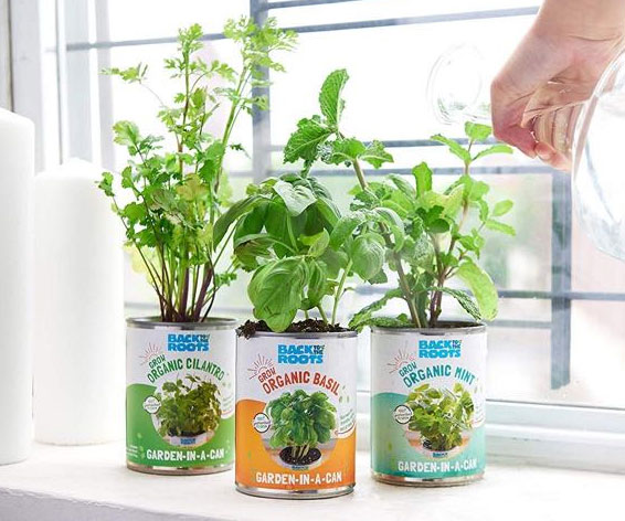 Garden In A Can