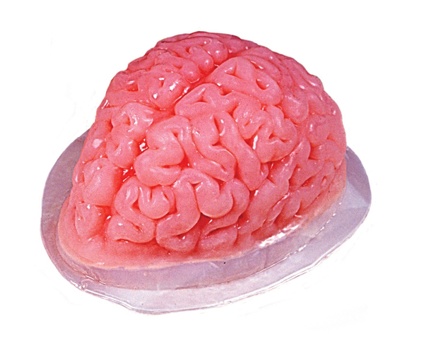 Gelatin Brain Mold