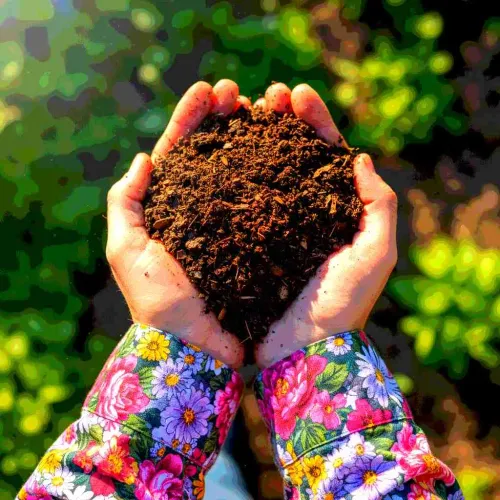 25 Flourishing Gifts For Gardeners & Plant Lovers Of All Skill Levels