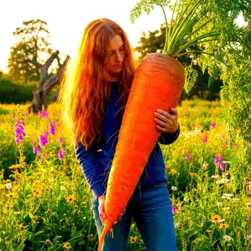 31 Un-BEET-able Gifts For Vegetarians That Make Being Plant Powered More Fun