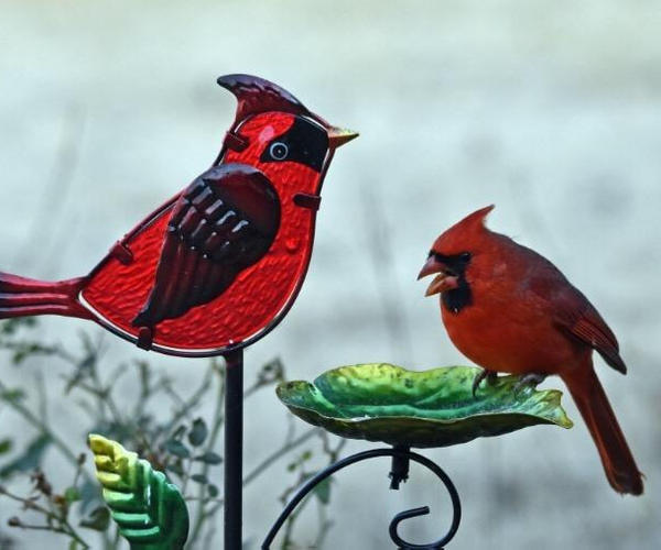 Glass Cardinal Bird Bath