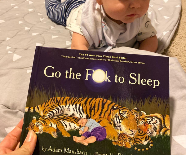 Go The F**k To Sleep Book