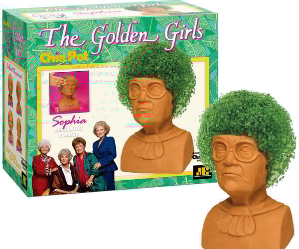 Golden Girls Chia Sophia