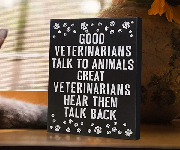 Good Vets Great Vets Canvas Print