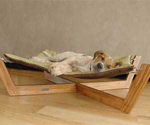 Hammock Dog Bed