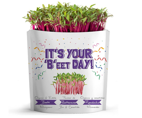 Happy Beet-Day Growable Card