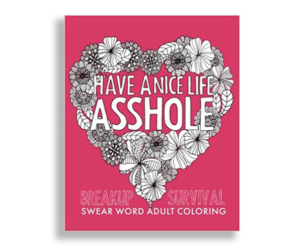 Have a Nice Life A-Hole Coloring Book