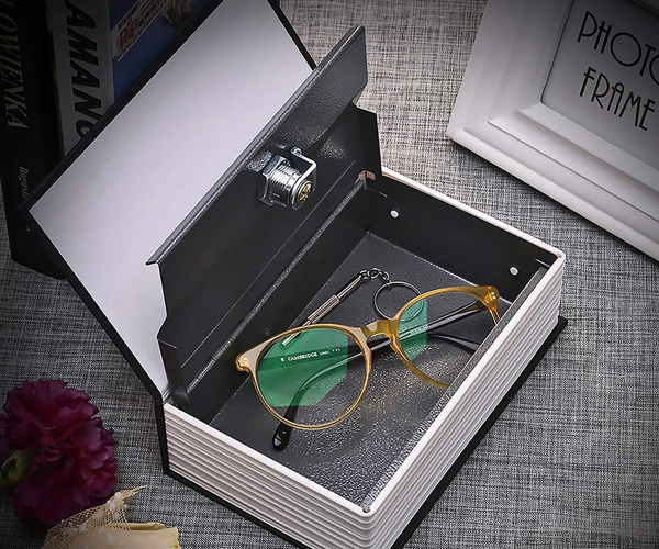 Hidden Book Piggy Bank