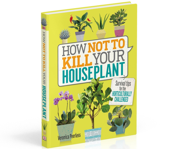 How Not to Kill Your Houseplant: Survival Tips for the Horticulturally Challenged