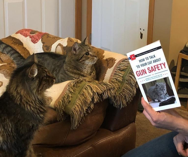 How to Talk to Your Cat About Gun Safety Book