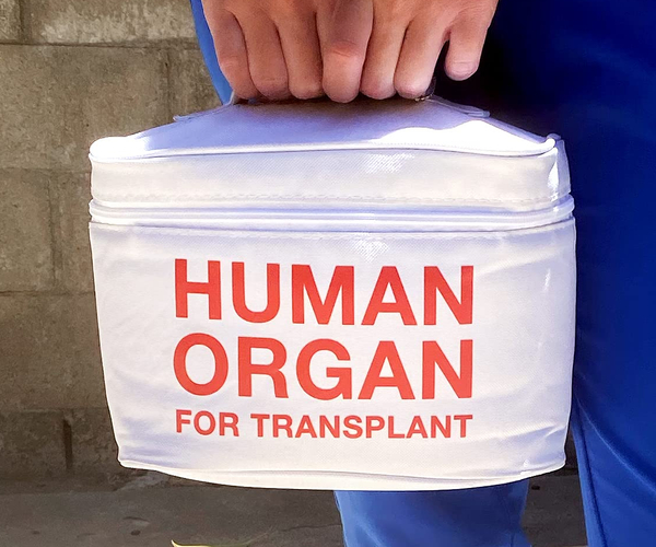 Human Organ Lunch Tote