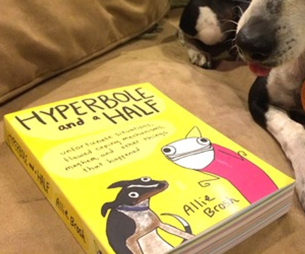 Hyperbole and a Half