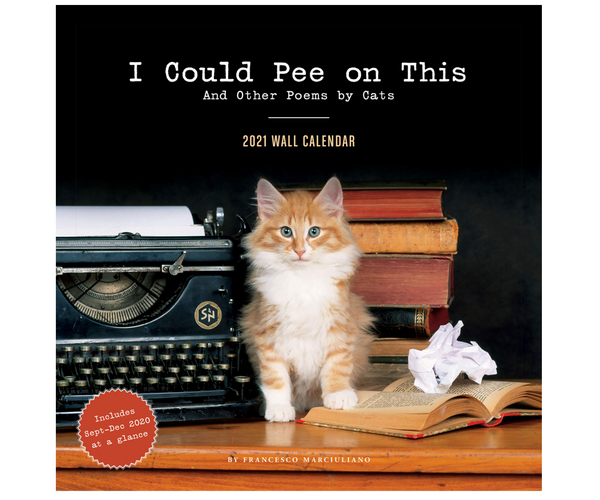 I Could Pee on This Kitten Wall Calendar