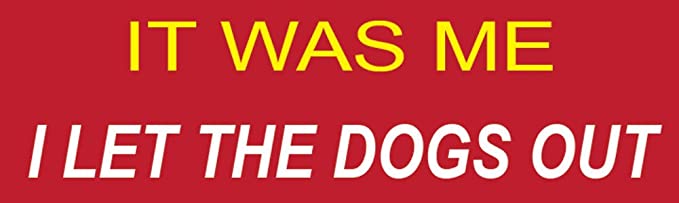 I Let the Dogs Out Funny Bumper Sticker