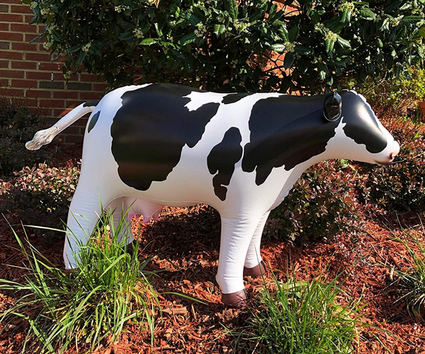 Inflatable Cow